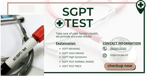 sgot sgpt meaning in tamil|SGPT & SGOT Test: Normal Range, Levels, and What do They .